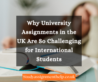 Why University Assignments in the UK Are So Challenging for International Students